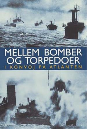 Mellem bomber og torpedoer