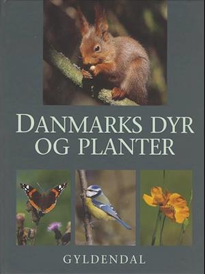 Fantasi Siege Electrify Få Danmarks dyr og planter af Mogens Andersen som Indbundet bog på dansk -  9788702033397