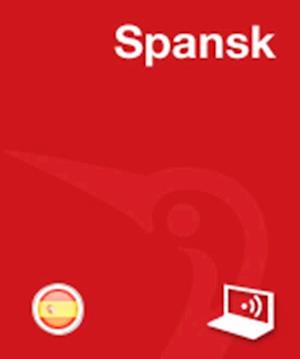 Spansk Privat Online