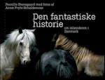 Den fantastiske historie om islænderen i Danmark