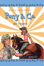 Pony & Co. 12 - På toppen