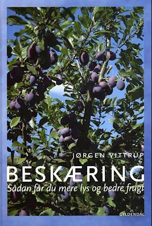 Beskæring