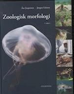 Zoologisk morfologi