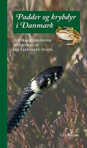 image of Padder og krybdyr i Danmark-Ole Frank Jørgensen-Bog
