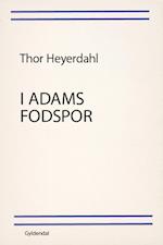 I Adams fodspor