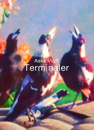 Terminaler