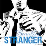 Beautiful Stranger