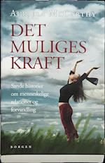 Det muliges kraft