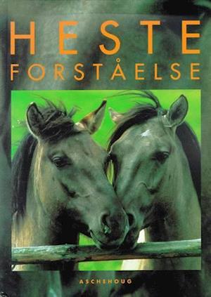 Hesteforståelse