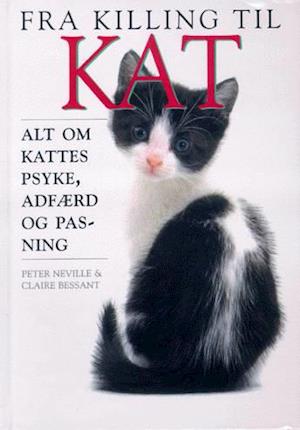 Fra killing til kat