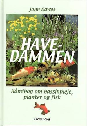 Havedammen