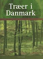 Træer i Danmark