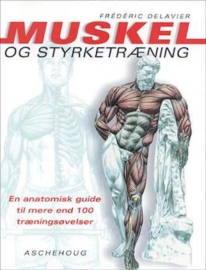 forbundet Forkorte handikap Få Muskel- og styrketræning af Frédéric Delavier som Hæftet bog på dansk -  9788711166796