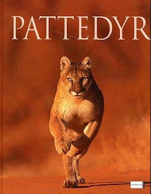 Pattedyr