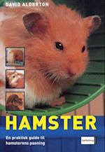 Hamster