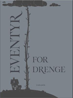 Eventyr for drenge