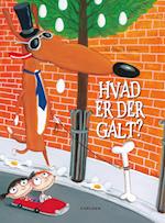 Hvad er der galt?