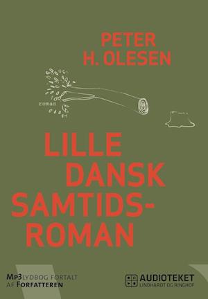 Lille dansk samtidsroman