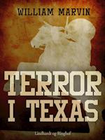 Terror i Texas