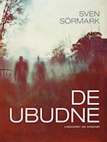 De ubudne