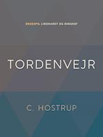 Tordenvejr