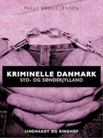 Kriminelle Danmark. Syd & Sønderjylland
