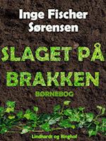 Slaget på Brakken