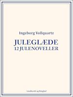 Juleglæde: 12 julenoveller