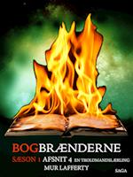 Bogbrænderne: En troldmandslærling 4