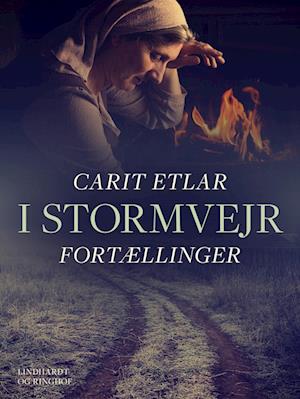 I stormvejr: Fortællinger