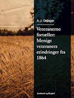 Veteranerne fortæller: Menige veteraners erindringer fra 1864