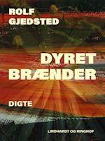 Dyret brænder