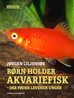 Børn holder akvariefisk – der føder levende unger