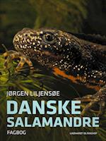 Danske salamandre