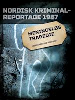 Meningsløs tragedie