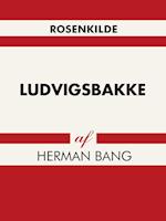 Ludvigsbakke