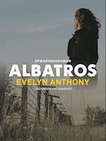 Albatros