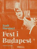 Fest i Budapest