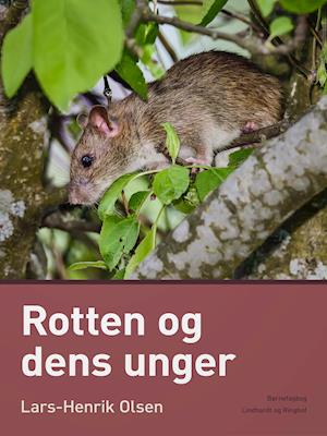 Rotten og dens unger