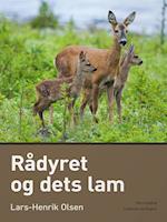 Rådyret og dets lam