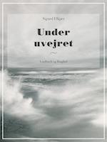 Under uvejret