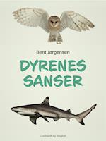 Dyrenes sanser