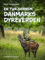 En tur gennem Danmarks dyreverden