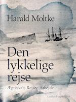 Den lykkelige rejse: Ægteskab, Rejser, Arbejde