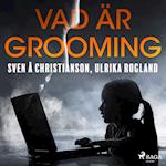 Vad är grooming