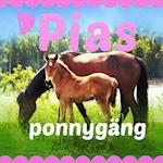 Pias ponnygäng