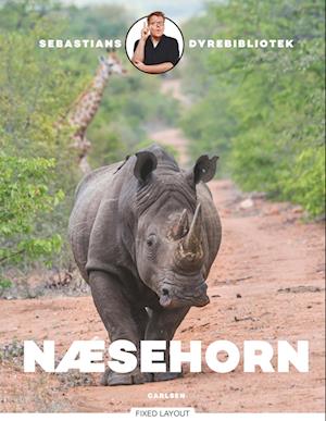 Sebastians dyrebibliotek: næsehorn