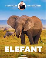 Sebastians dyrebibliotek: elefant