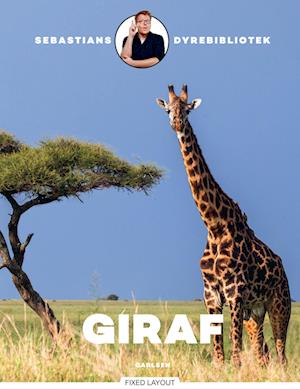 Sebastians dyrebibliotek: Giraf