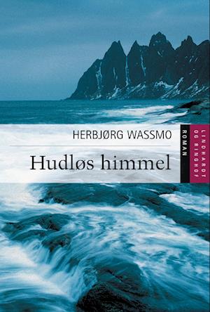 Hudløs himmel